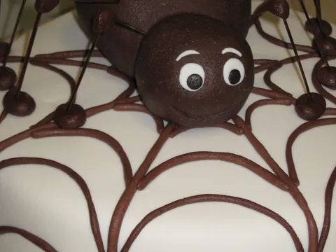 Pauk - torta za sutrasnji rodjendan