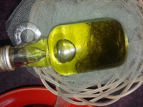 maslinovo ulje sa aromom mirođije