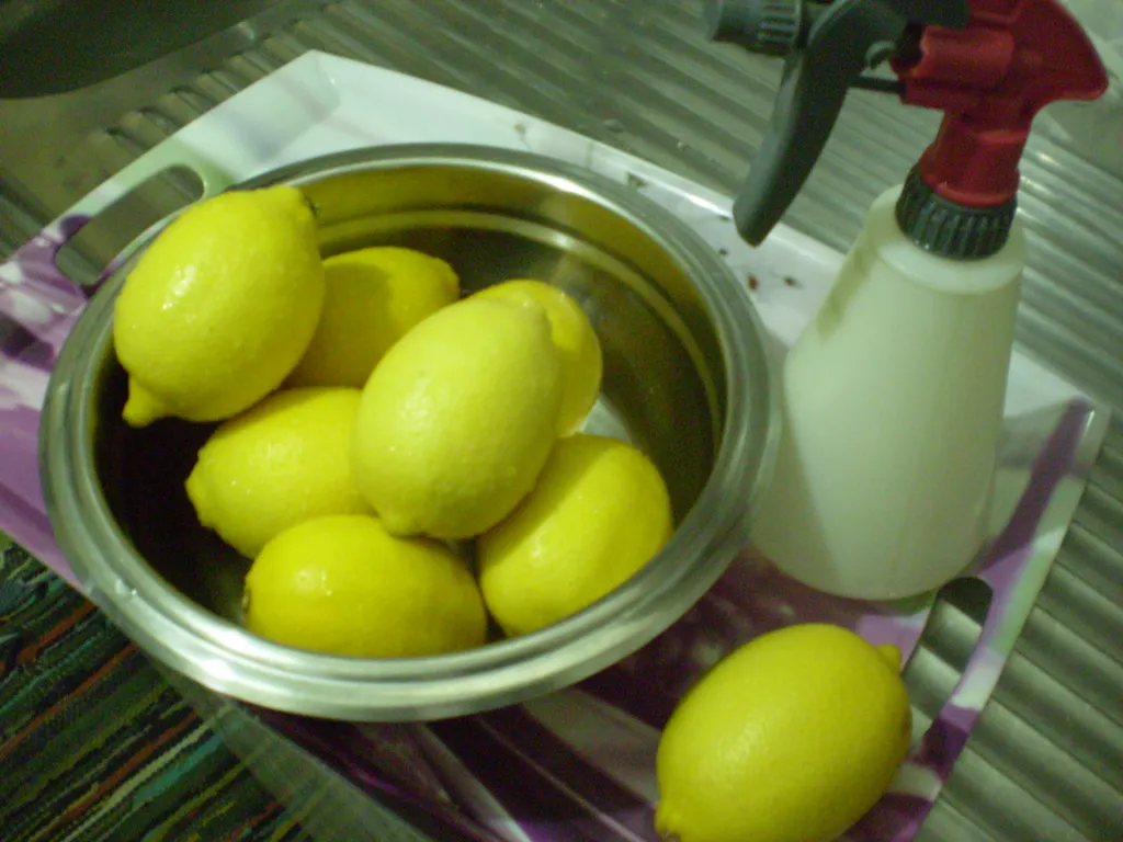 Limun(više savjet nego recept)