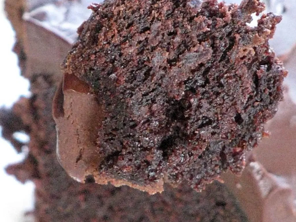 Moj cokoladni  &#8220;mud cake&#8221;