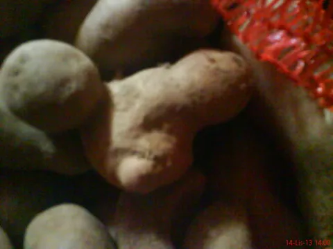 Krumpir kiflenjak 2