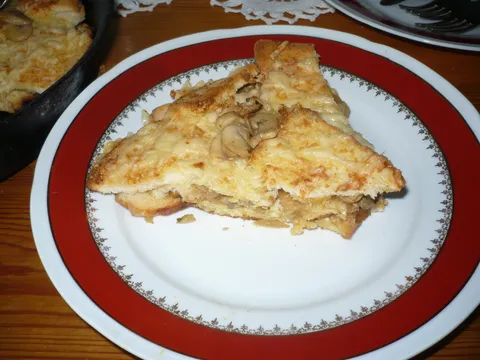 Svicarske snite sa gljivama i tost-kruhom