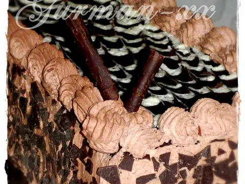 Čokoladno čokoladna torta