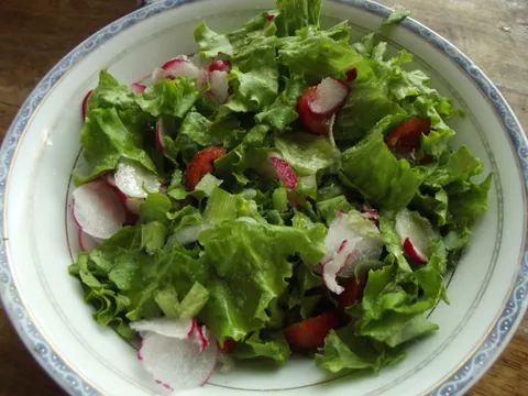 Osvezavajuca salata