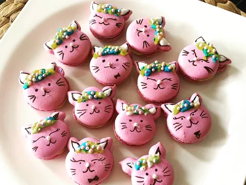 Cat Macarons