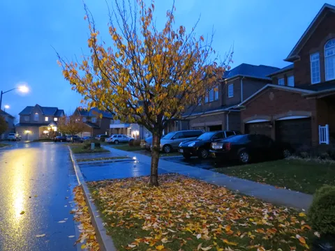Jesen u nasoj ulici
