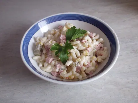 Salata s tjesteninom