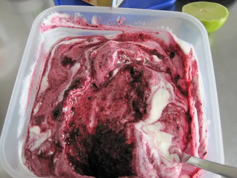 zdravi sladolen sa grckim yogurtom, borovnicama, limetom i stevia sladilom&#8230;