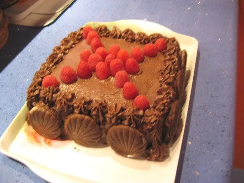 Malina-cokolada torta