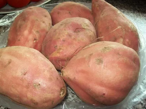 Batato-slatki krompir, eng. sweet patato