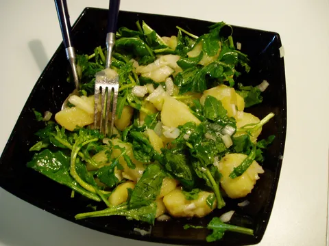 Krumpir salata s rikulom
