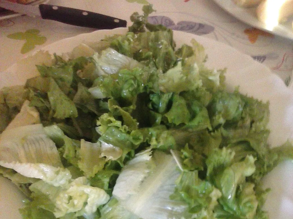 Lagana ljetna salata