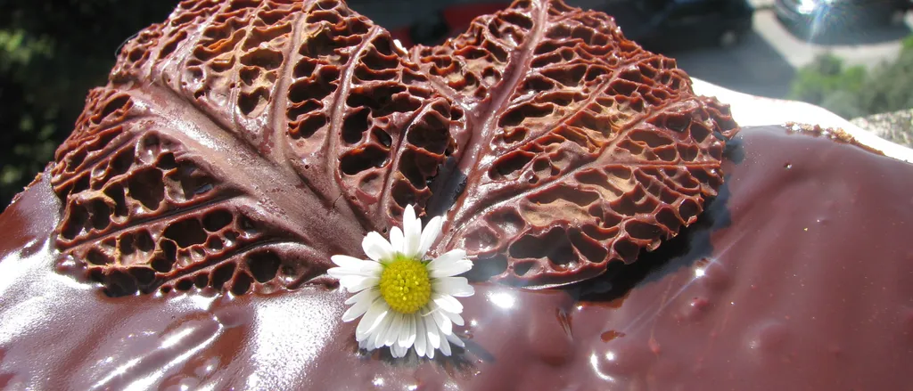 Cokoladna dekoracija sa keljom