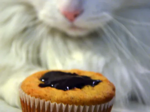Muffini s amaranthom...