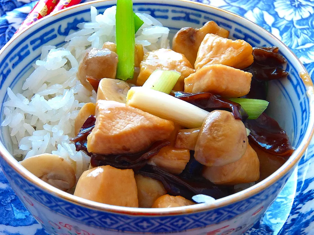 Kantonese stew  sa piletinom i crnim gljivama