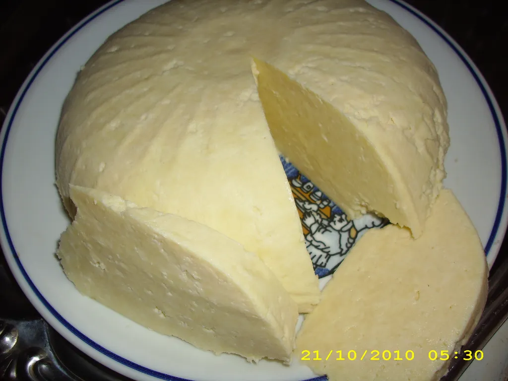 Domaći tvrdi sir sa octom
