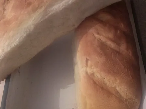 Domaci kruh od Masatera