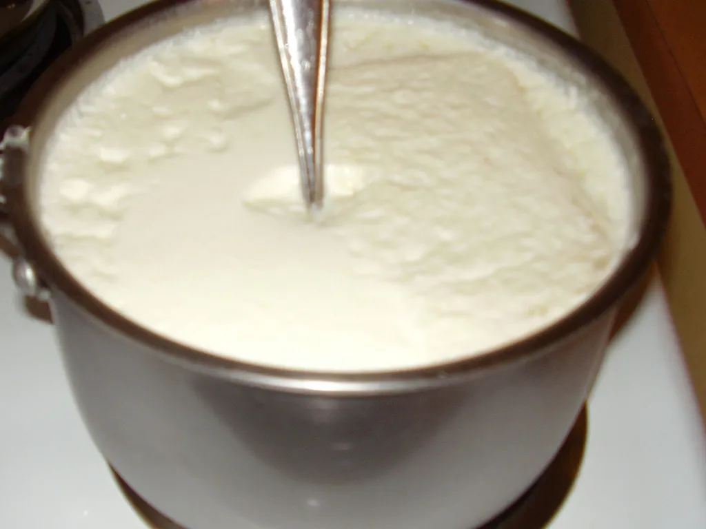 Domaci jogurt