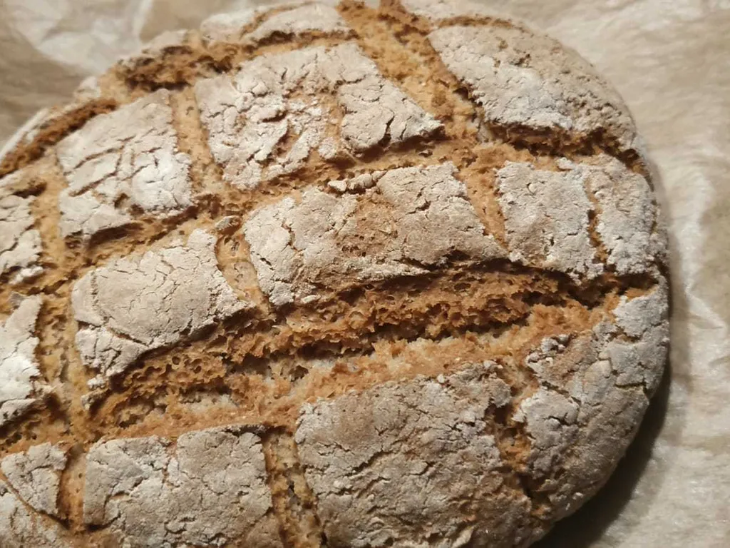 Domaći kruh od raženog i zobenog brašna
