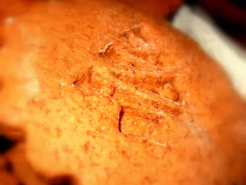 Gingerbread cookies by Omnia