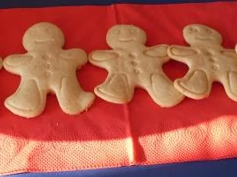 gingerbread cookies by omnia