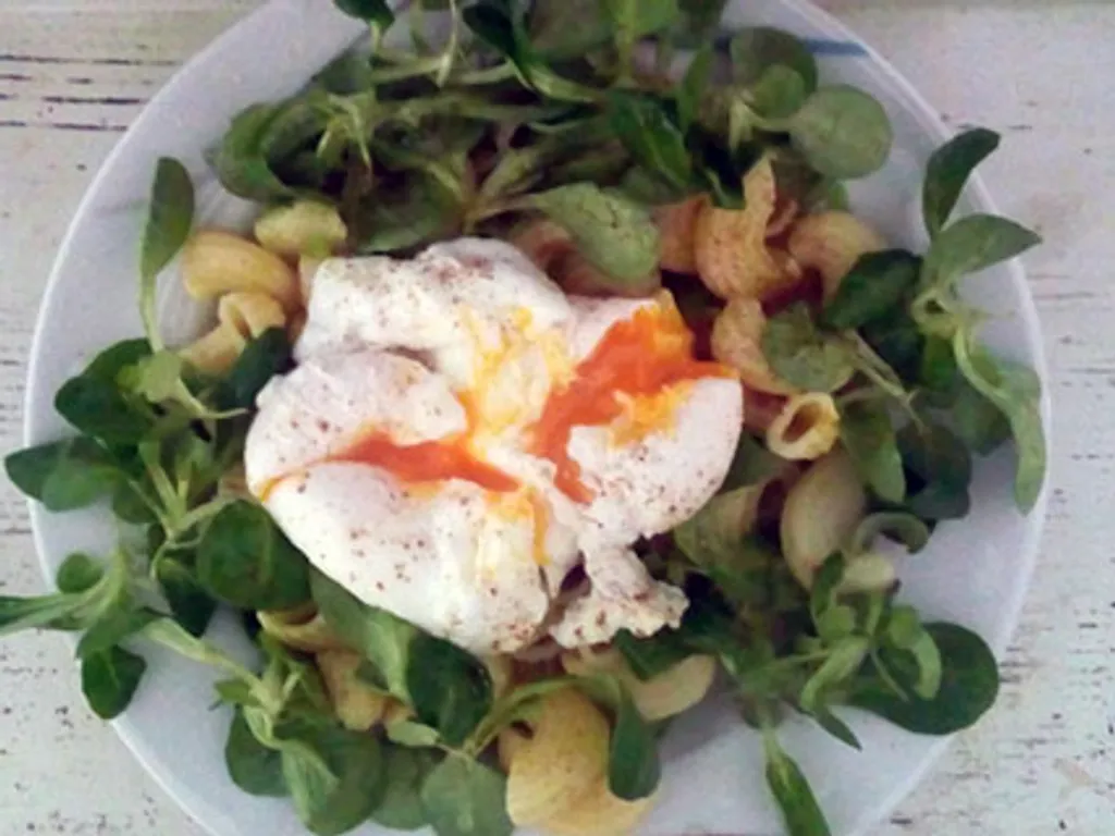 Salata od poširanog jajeta, matovilca i tjestenine