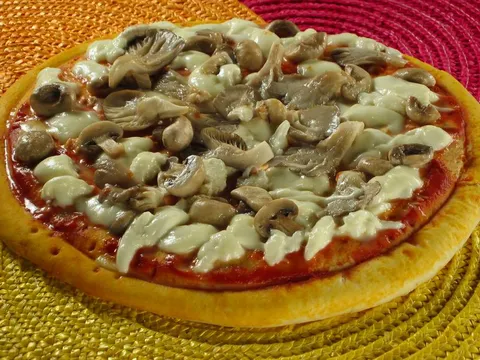 Pizza s gljivama