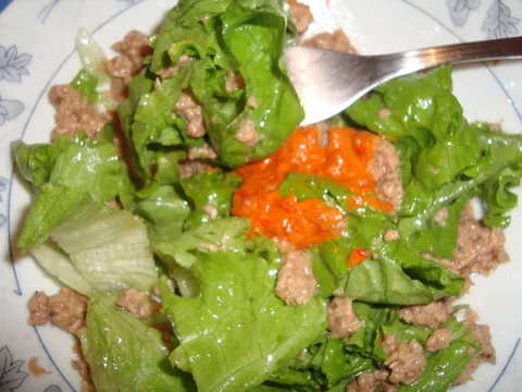 Zdrava salata s tunom