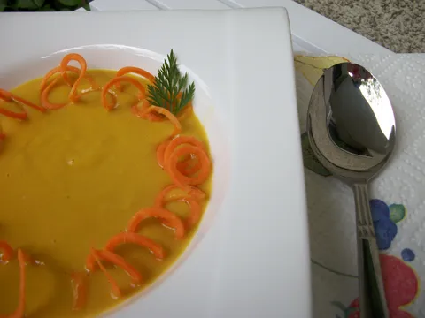 Gusta pileca juha sa povrcem