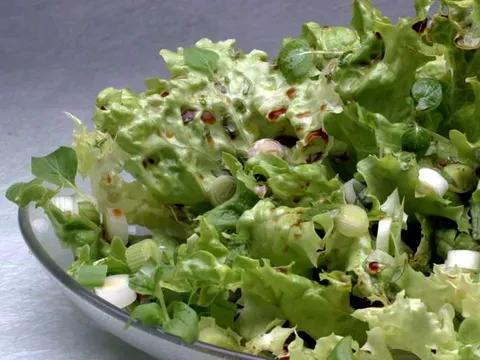 Zelena salata s origanom