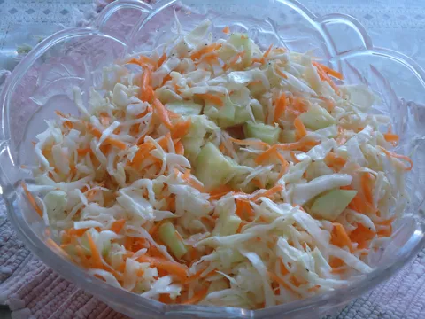 Salata od kupusa