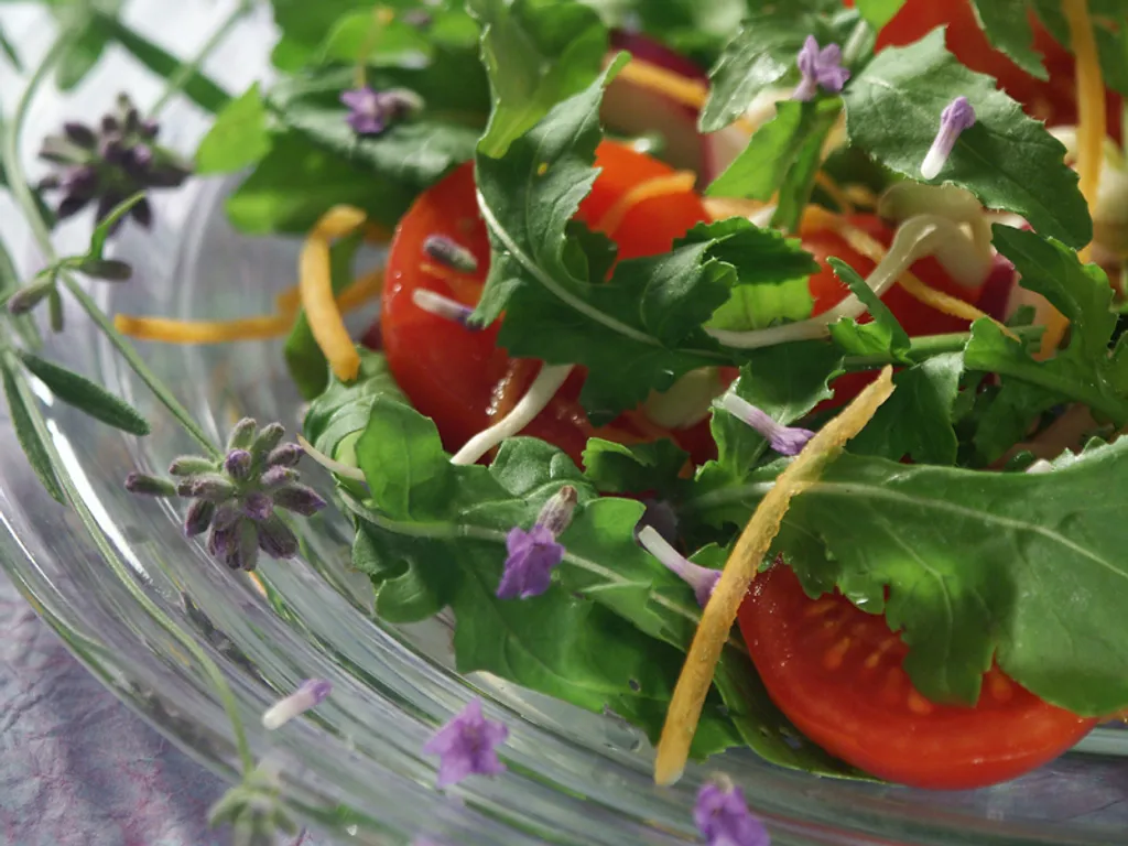 Salata s cvjetićima lavande