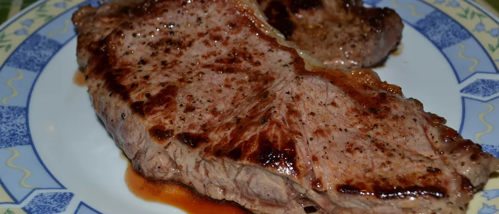 Steak odrezak