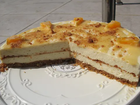 White tender cheesecake by Omnia - Presjek