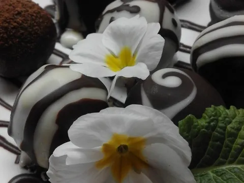 čokoladne bombice sa medom / chocolate truffles with honey