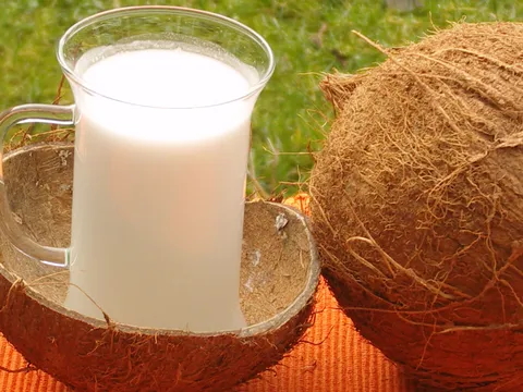 Kokosovo mlijeko iz kućne radinosti