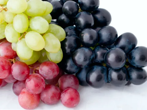 Stolno vs vinsko grožđe