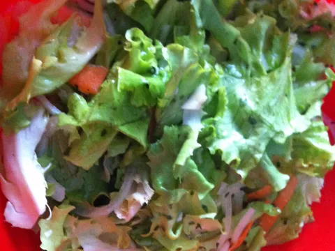 Moja šarena salata