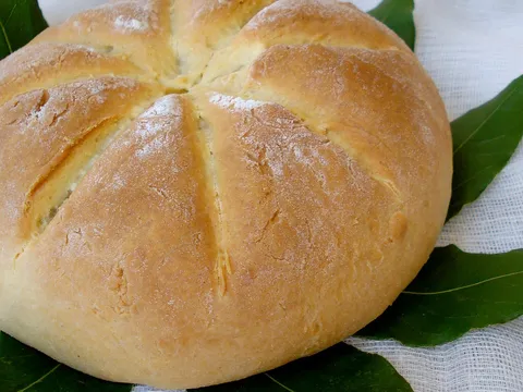 Rimski kruh (Libum, kruh iz Pompeja)