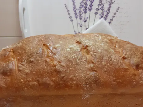 Domaci kruh