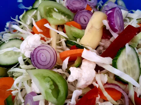 šarena salata