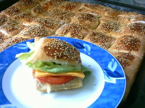 Sendvic kruh