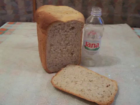 Hleb iz mini pekare